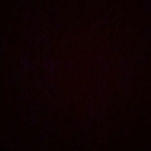 Meet your Posher, Shawn